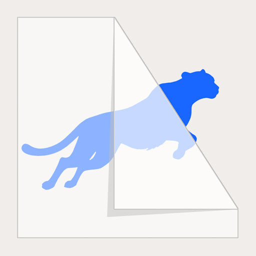 Transfer Stickers