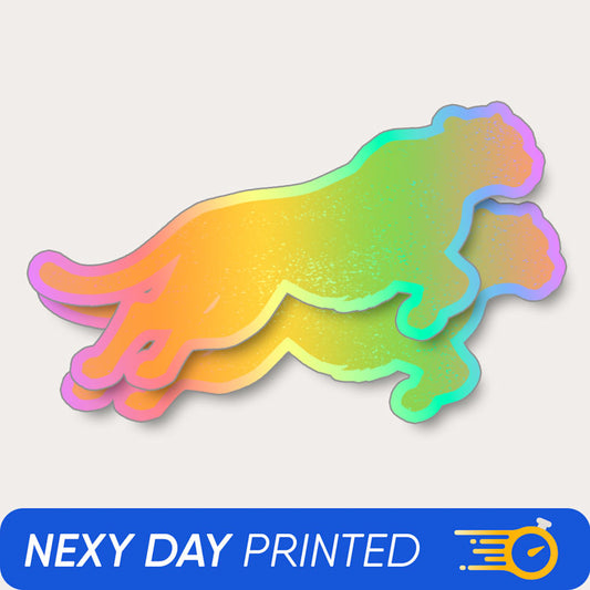 Crystal Holographic Stickers - Next Day